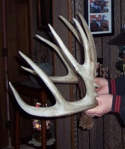 Trail Camera, Shed Hunting & Scouting Pics Photo