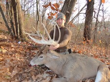 2011 Deer Photos