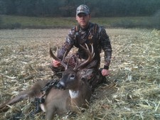 2011 Deer Photos