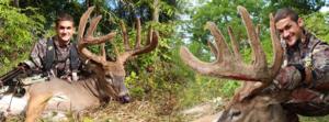 Coulton Seifert Velvet Buck