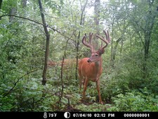 Splitter, with another month to grow