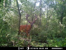 Splitter pics, late July 6